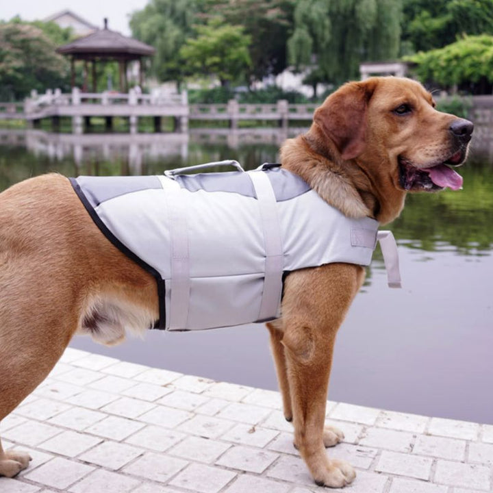 Ensure Your Pet's Safety with Our Premium Life Jacket