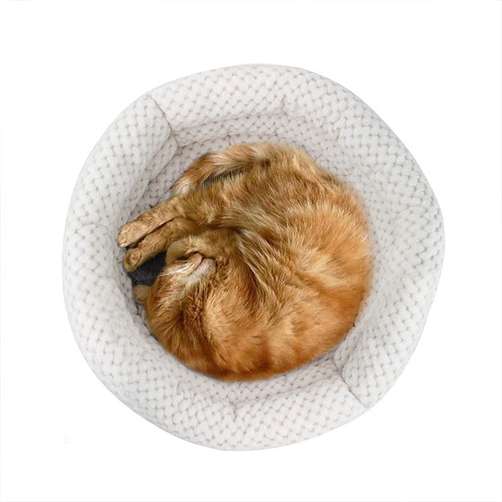 Discover the Comfort of the Semi Closed Round Ice Velvet Pet Bed for Deep Sleep