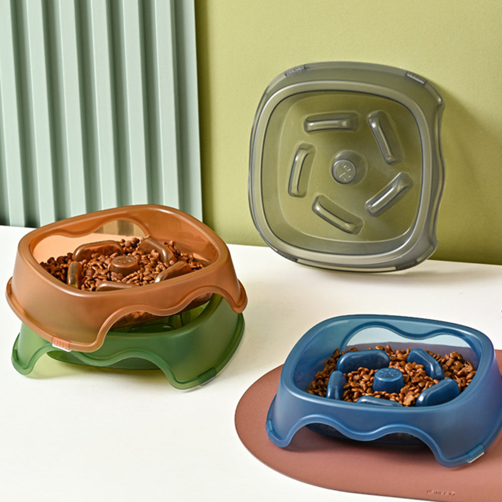 Anti Choking Pet Feeding Bowl With Slow Feed Design