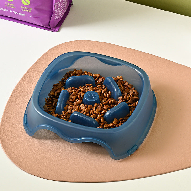 Anti Choking Pet Feeding Bowl With Slow Feed Design