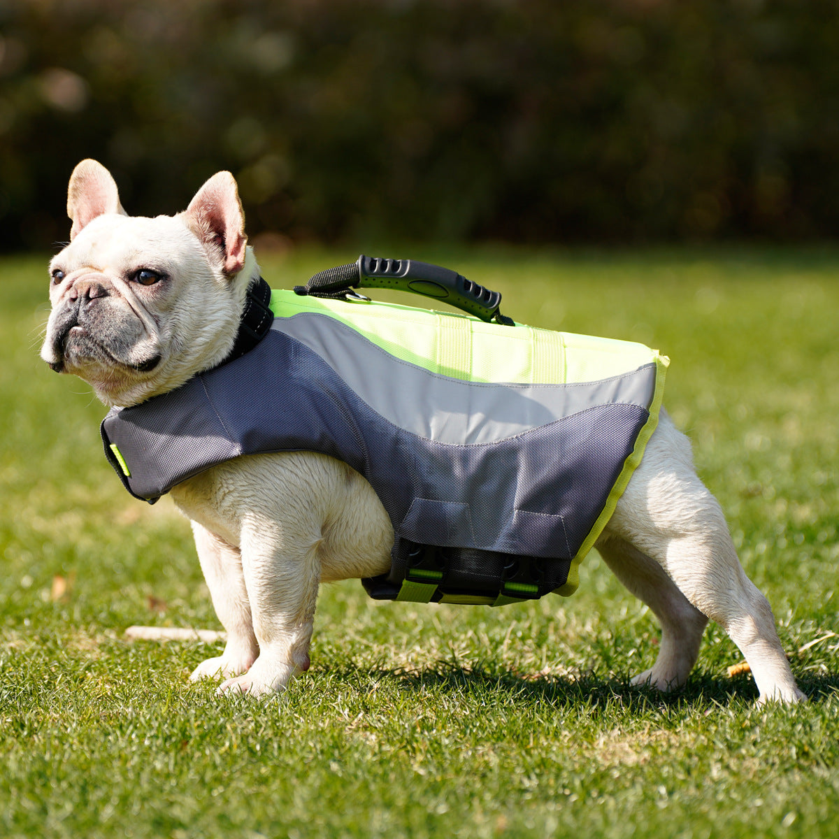 Reflective Pet Swimsuit Life Jacket For Water Safety And Visibility
