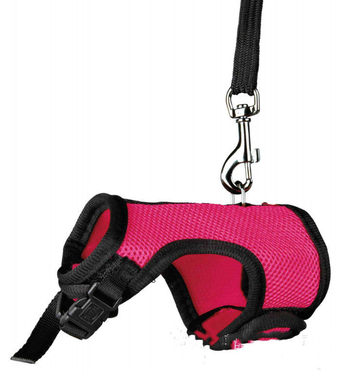 Compact Pet Leash For Comfortable Control And Daily Walks
