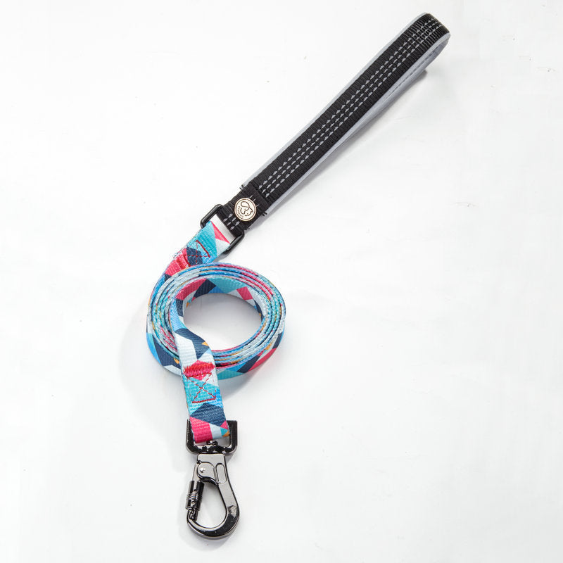 Durable Pet Leash For Daily Walks And Reliable Control