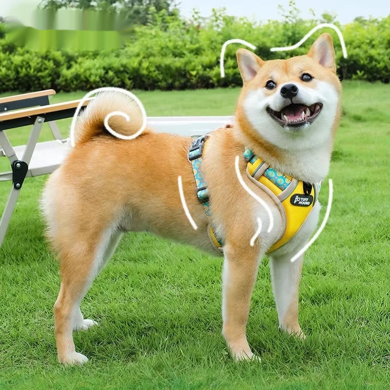 Pet Harness Vest-style Large Walking Leash Small To Medium Leash