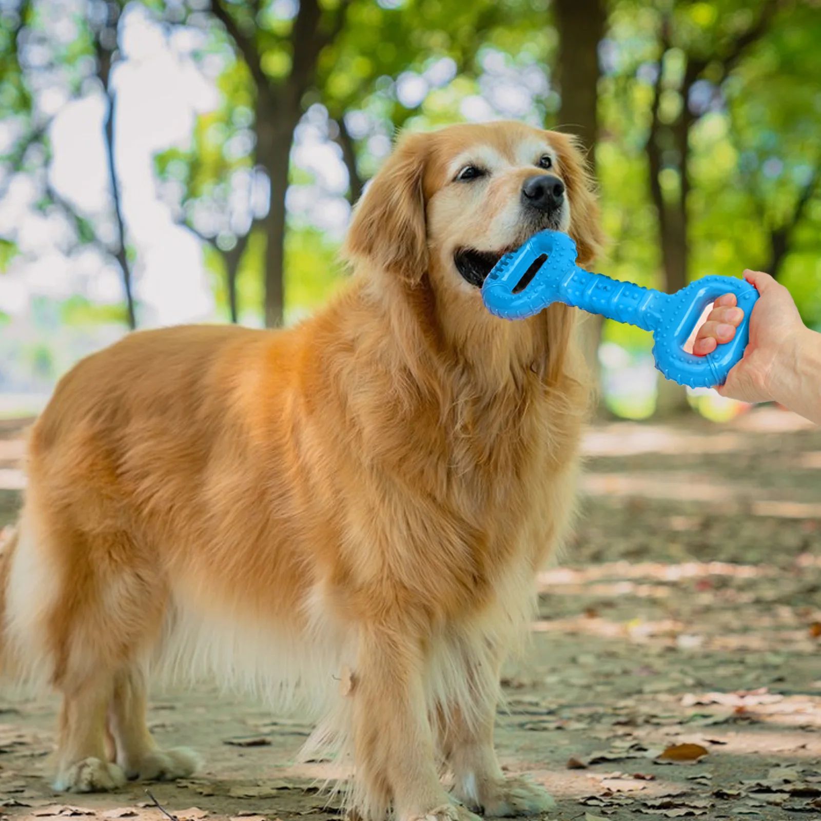Long Lasting Interactive Pet Bone Chew Toy With Pull Band For Strong Chewers