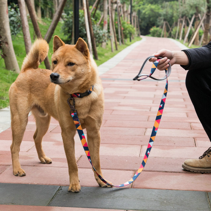 Durable Pet Leash For Daily Walks And Reliable Control