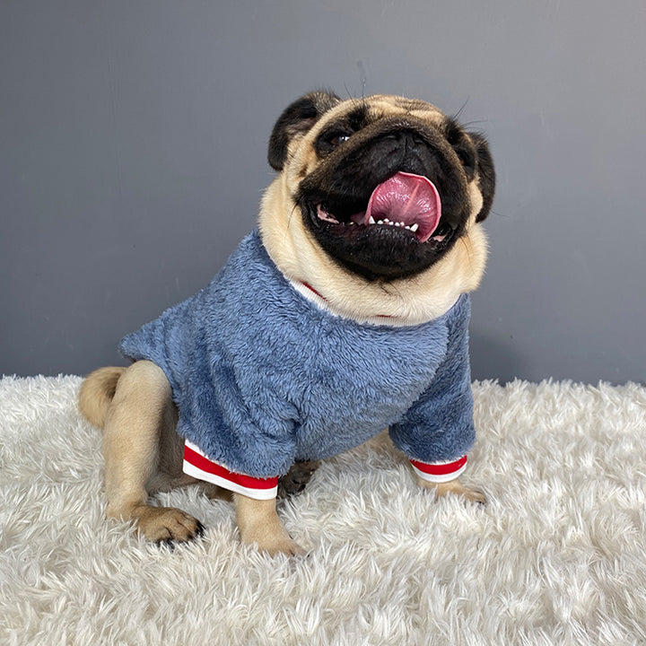 Warm Pet Sweater For Comfort And Cold Weather Protection