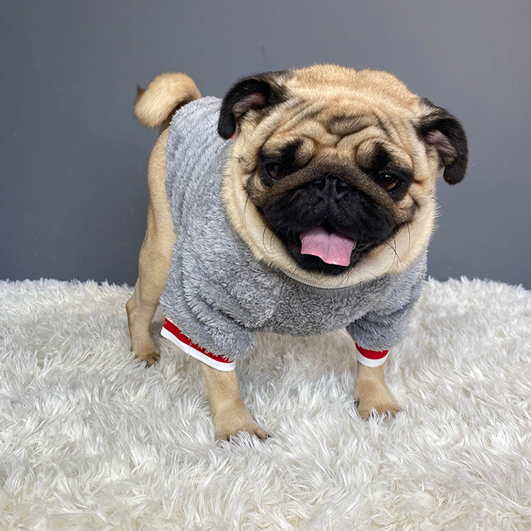 Warm Pet Sweater For Comfort And Cold Weather Protection