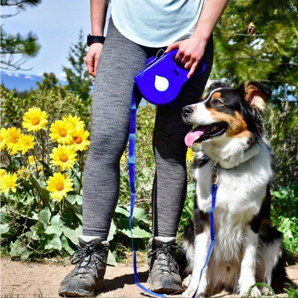Multifunctional Automatic Retractable Pet Leash For Portable Use