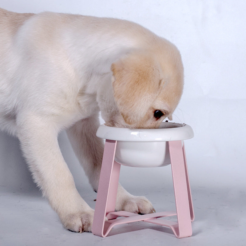 Creative Anti Slip Pet Feeding Bowl With Iron Stand Design