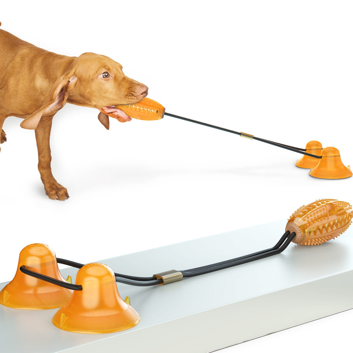 Multifunction Double Tug Rope Ball Sucker Pet Chew Toy For Biting And Play