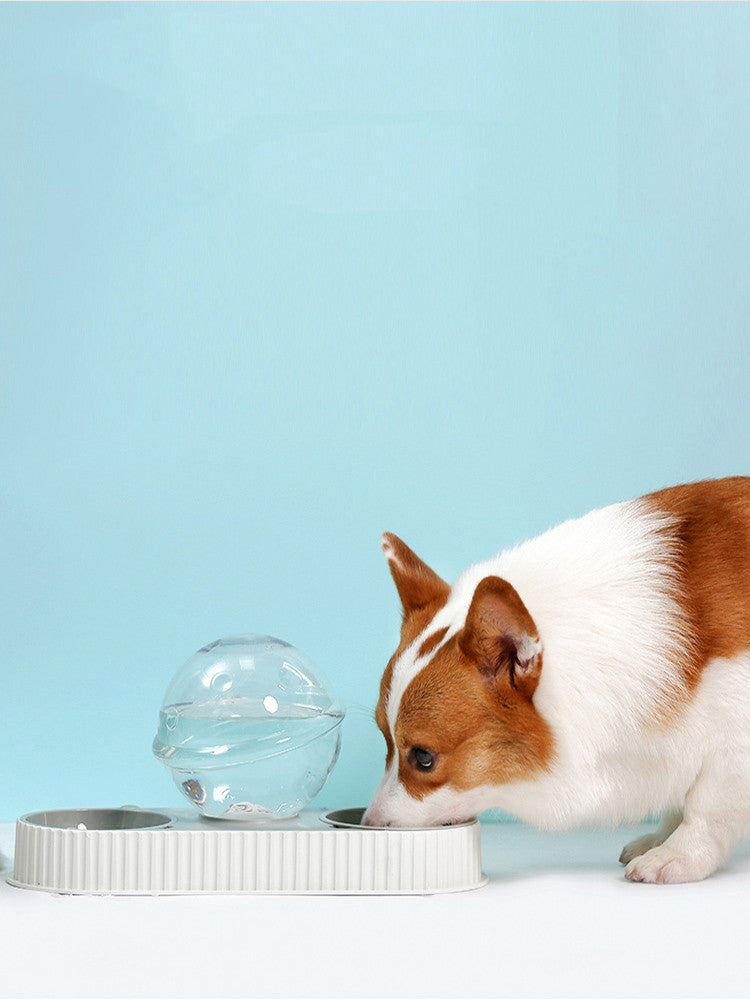 Automatic Plastic Pet Feeder And Water Dispenser Bowl For Food And Hydration