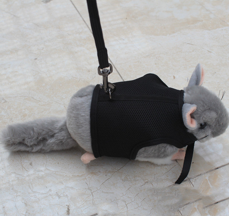 Compact Pet Leash For Comfortable Control And Daily Walks