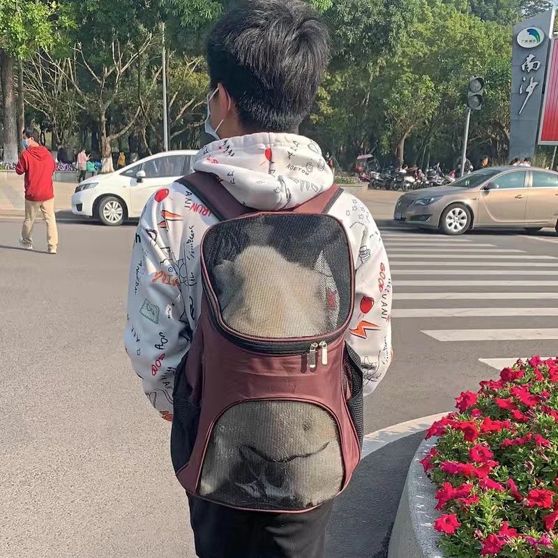 Breathable Pet Carrier Backpack For Small Pets Portable Outdoor Travel