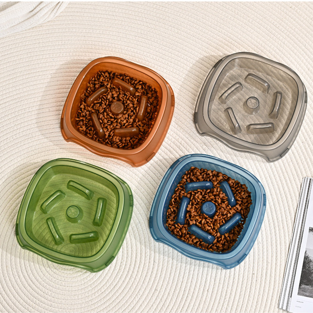 Anti Choking Pet Feeding Bowl With Slow Feed Design