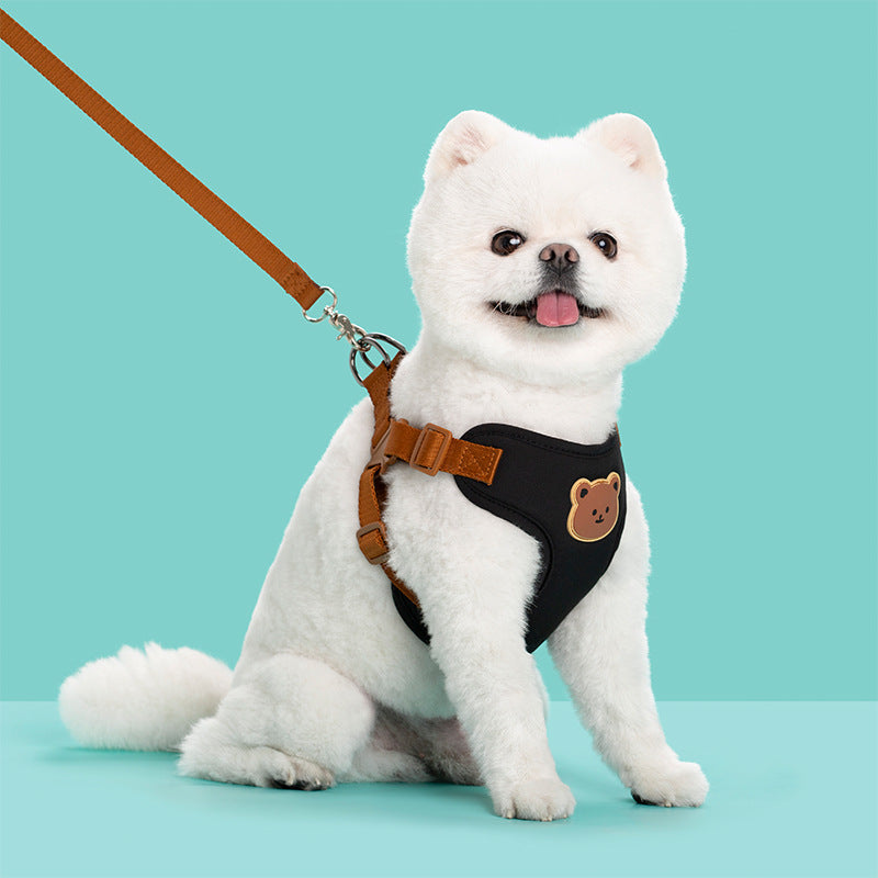 Pet Outing Leash Strap For Safe Walking And Control