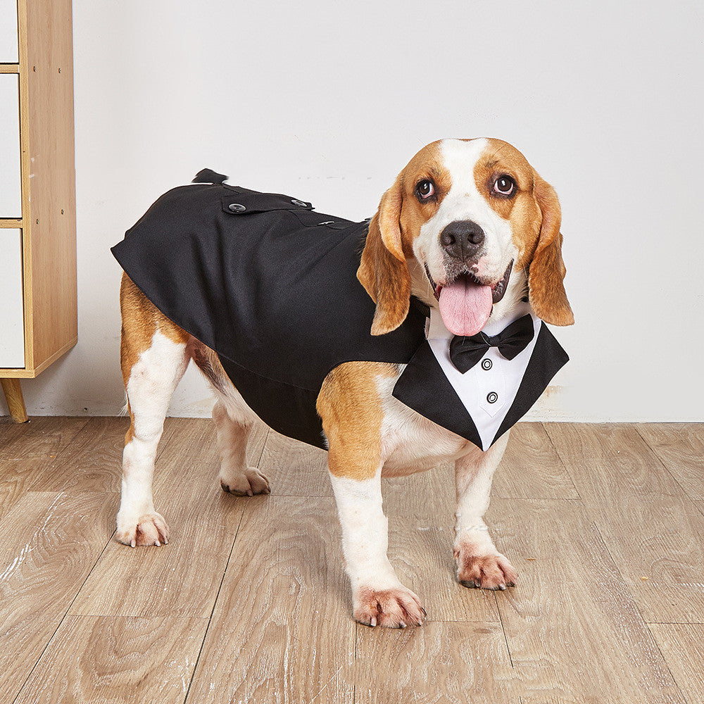 Warm Pet Sweater For Cold Weather Comfort And Style