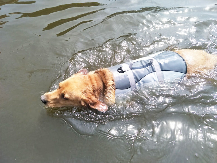 Pet Life Jacket For Water Safety And Buoyancy Protection