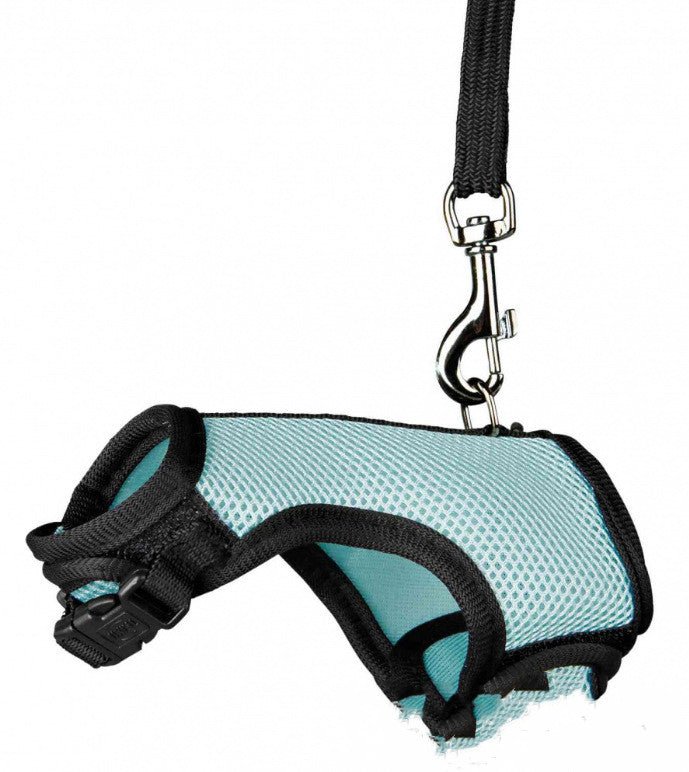 Compact Pet Leash For Comfortable Control And Daily Walks