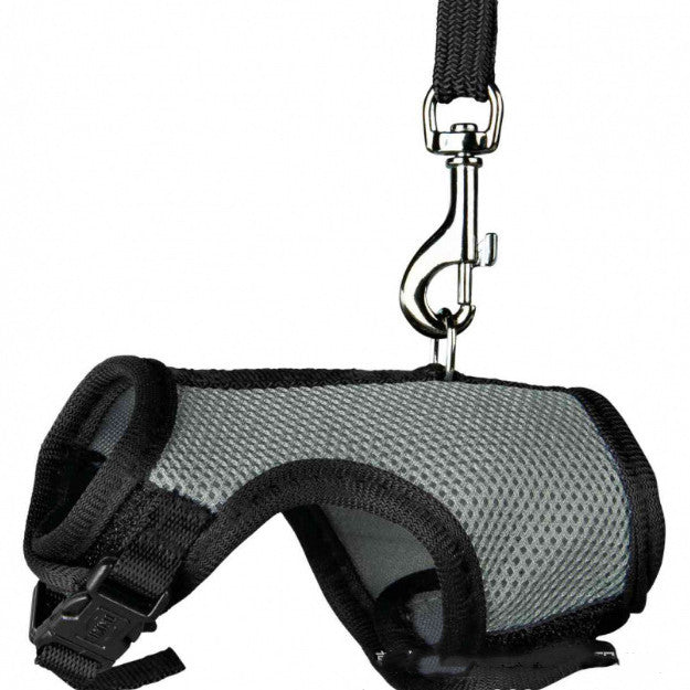 Compact Pet Leash For Comfortable Control And Daily Walks