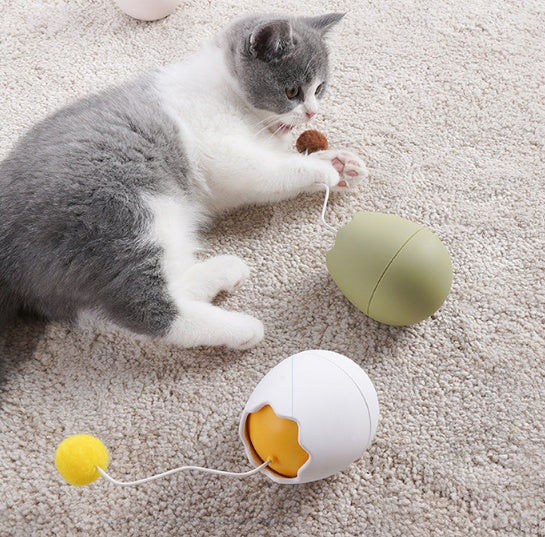 Interactive Funny Pet Toy For Indoor Entertainment And Exercise