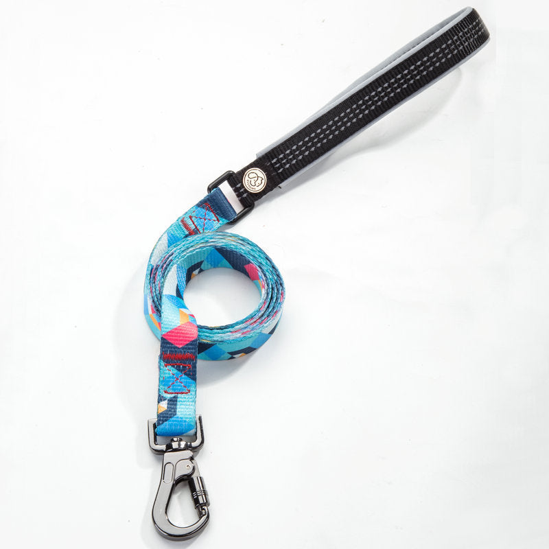 Durable Pet Leash For Daily Walks And Reliable Control