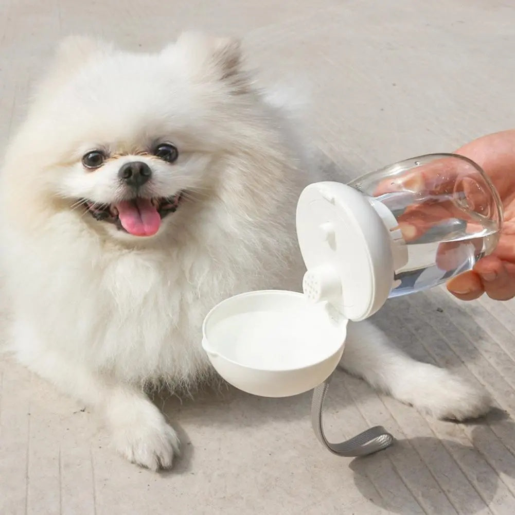 Portable Pet Water Bottle With Bowl And Lanyard Travel Use