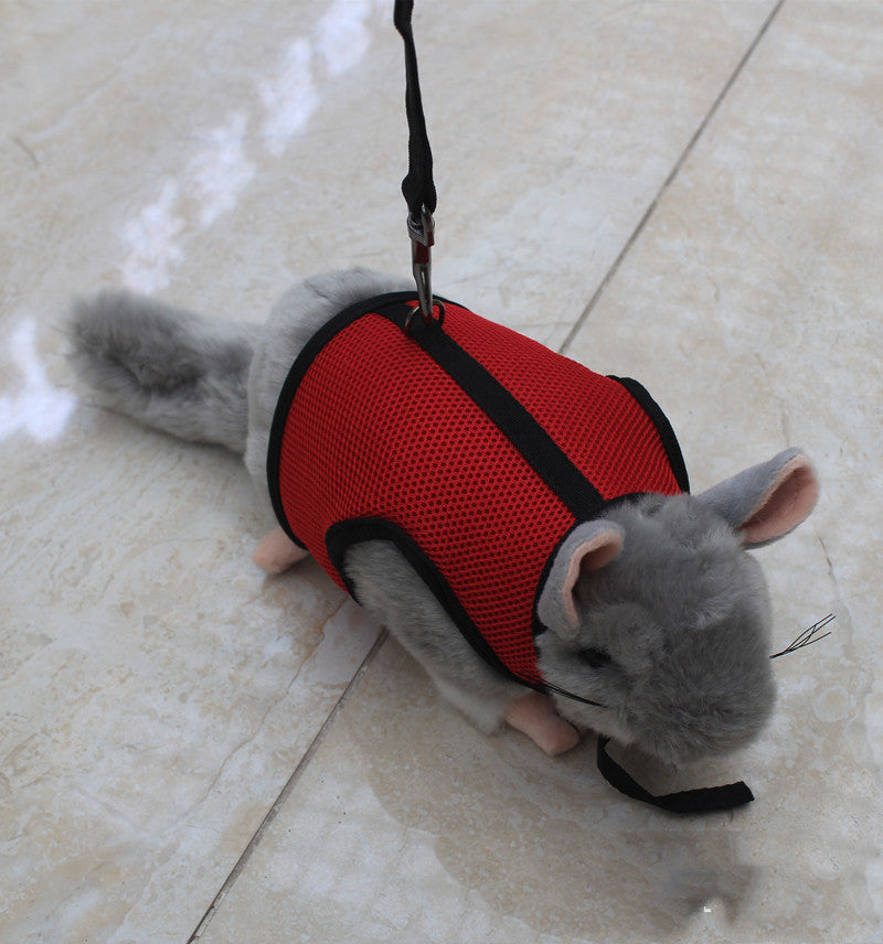 Compact Pet Leash For Comfortable Control And Daily Walks