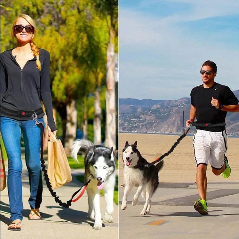 Adjustable Pet Harness Collar And Jogging Leash For Secure Walking And Training