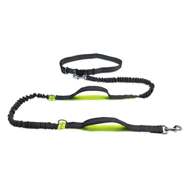 Adjustable Pet Harness Collar And Jogging Leash For Secure Walking And Training