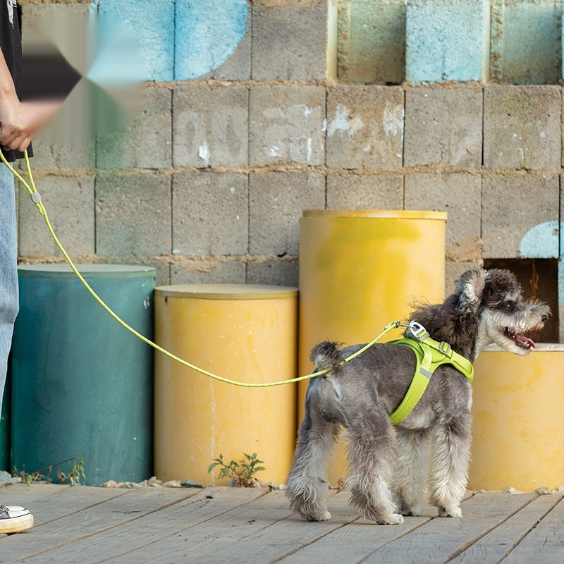Colorful Adjustable Sliding Pet Leash For Comfortable Control
