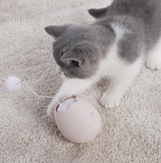 Interactive Funny Pet Toy For Indoor Entertainment And Exercise