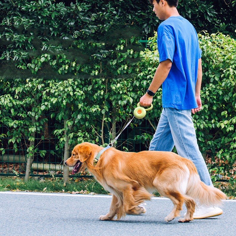 Retractable Reflective Pet Leash For Safe And Controlled Walking