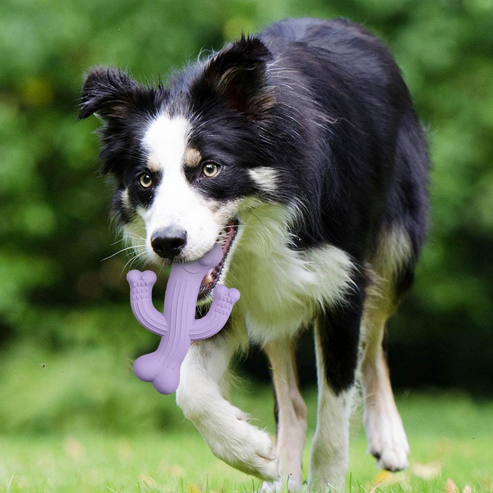 Ultra Durable Cactus Shape Pet Chew Toy For Interactive Play And Boredom Relief
