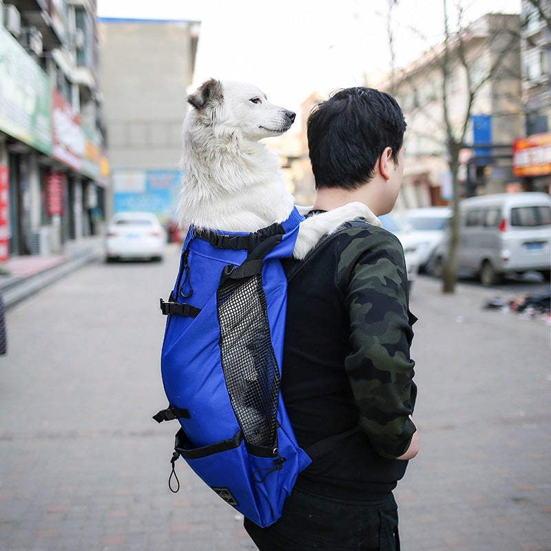 Portable Pet Carrier Backpack With Double Shoulder Straps For Travel