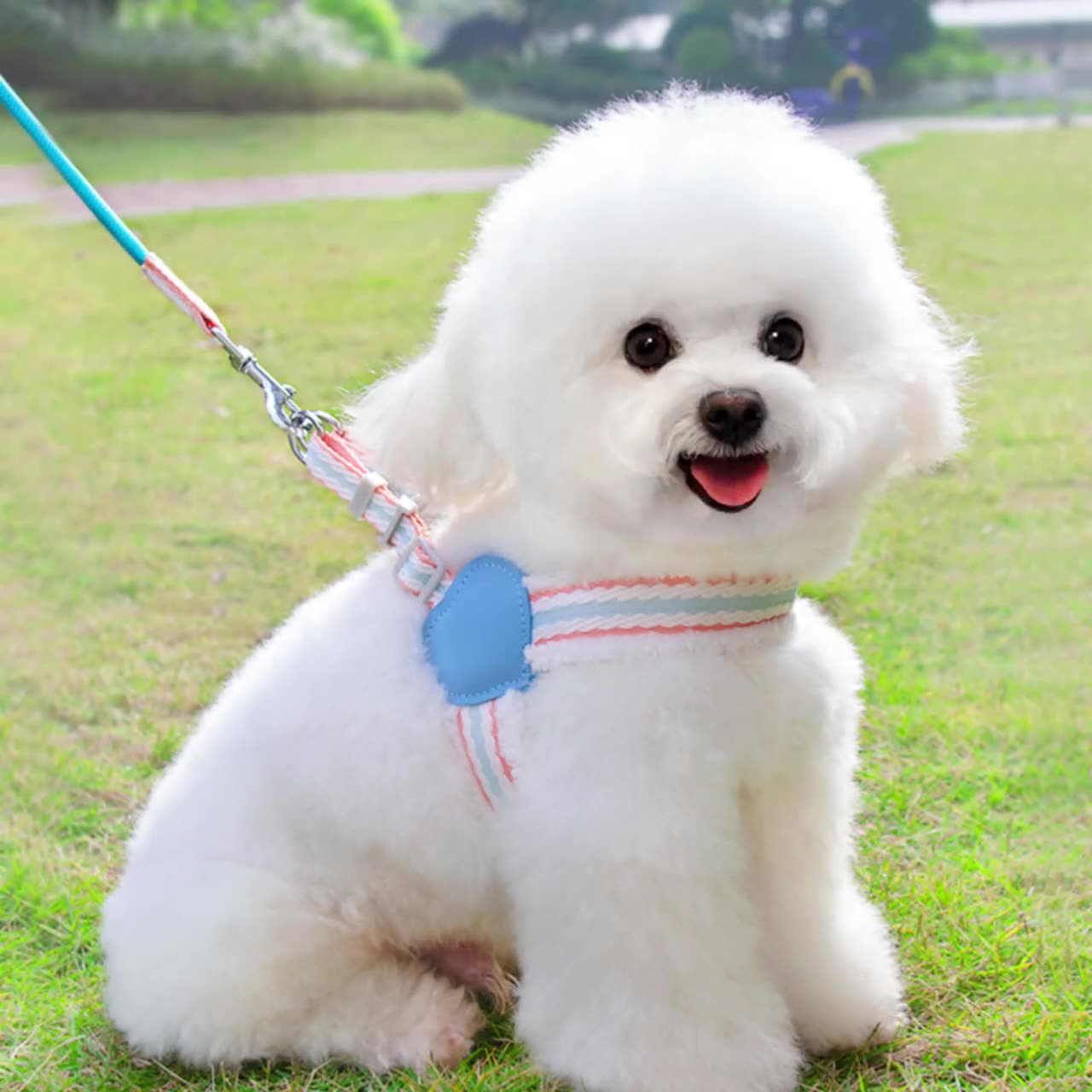 Breathable Pet Chest Vest Leash For Comfortable Walking