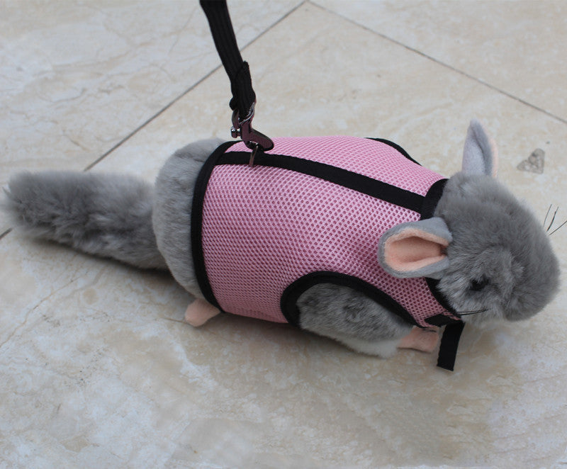 Compact Pet Leash For Comfortable Control And Daily Walks