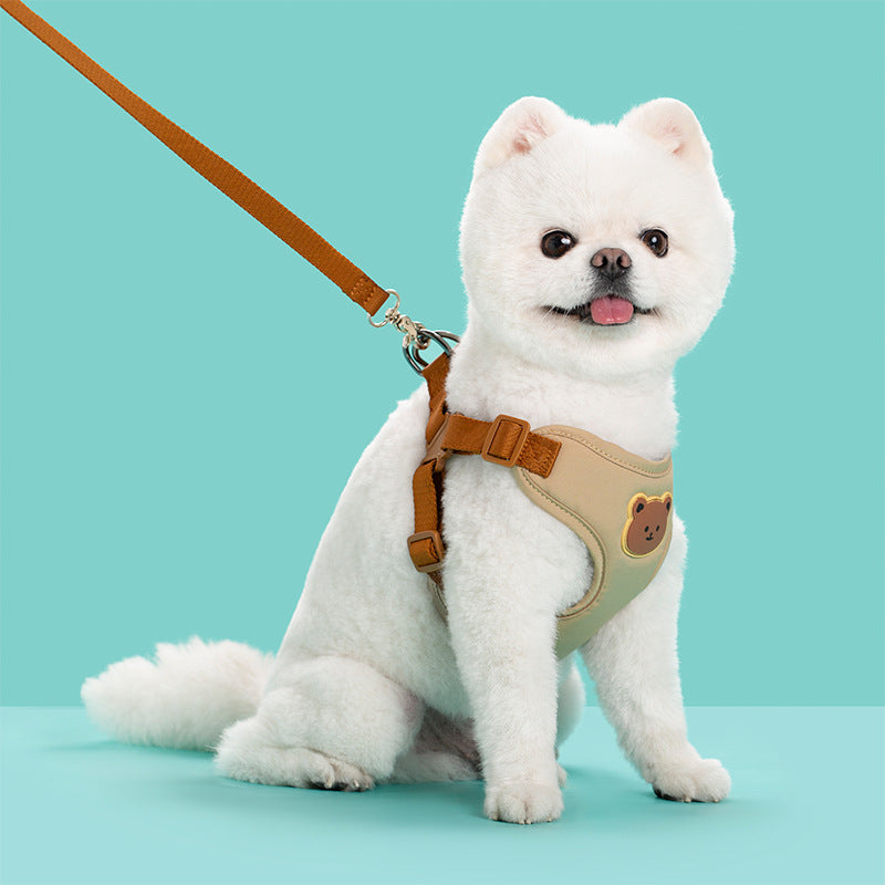 Pet Outing Leash Strap For Safe Walking And Control