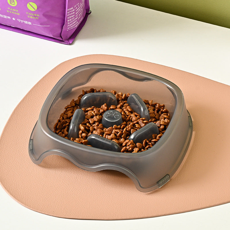 Anti Choking Pet Feeding Bowl With Slow Feed Design