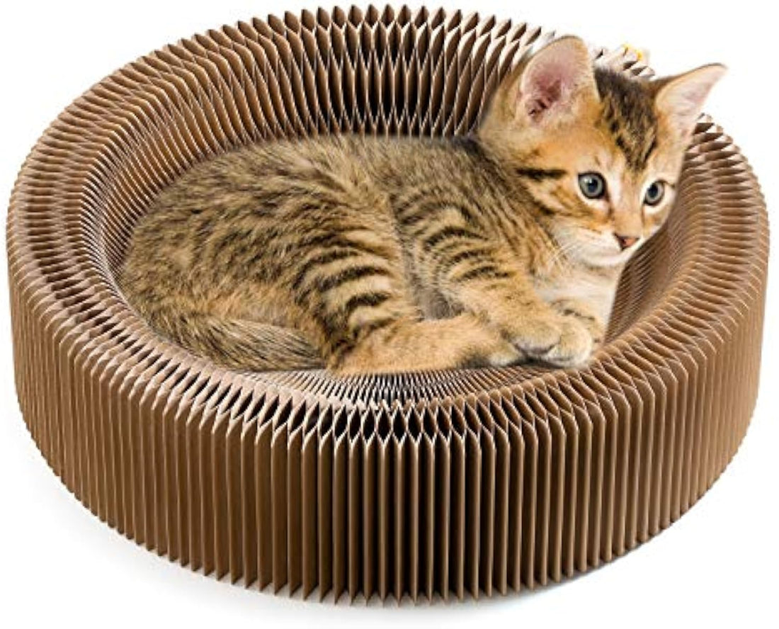 Collapsible Pet Scratcher Lounge Bed With Corrugated Design