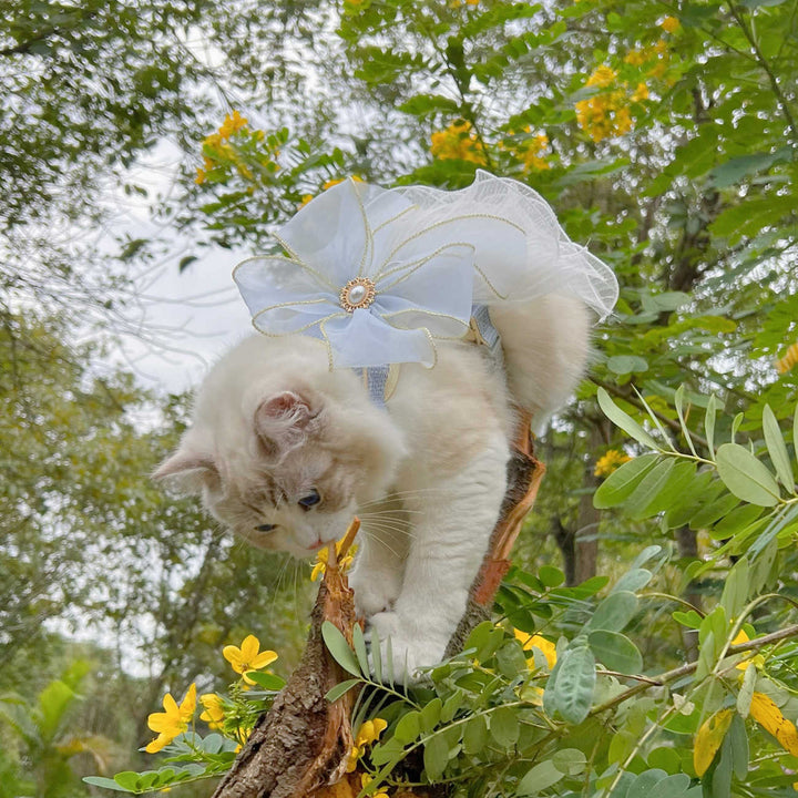 Multi Layer Yarn Pet Leash