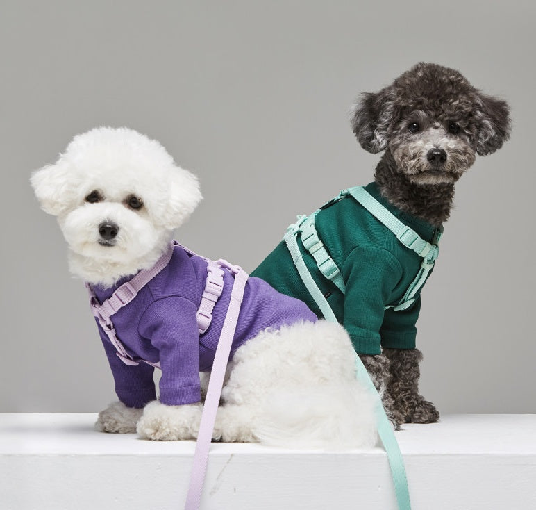 Macaron Style Pet Leash With Trendy And Comfortable Design