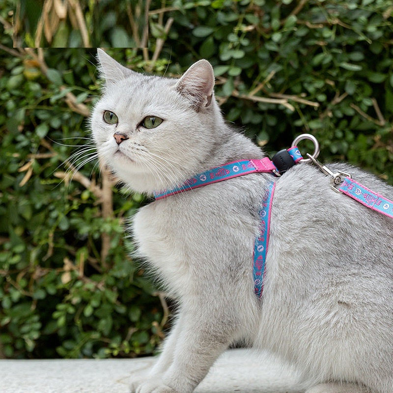 Pet Chest Strap Vest With Bell And Leash For Small Pets Walking And Control