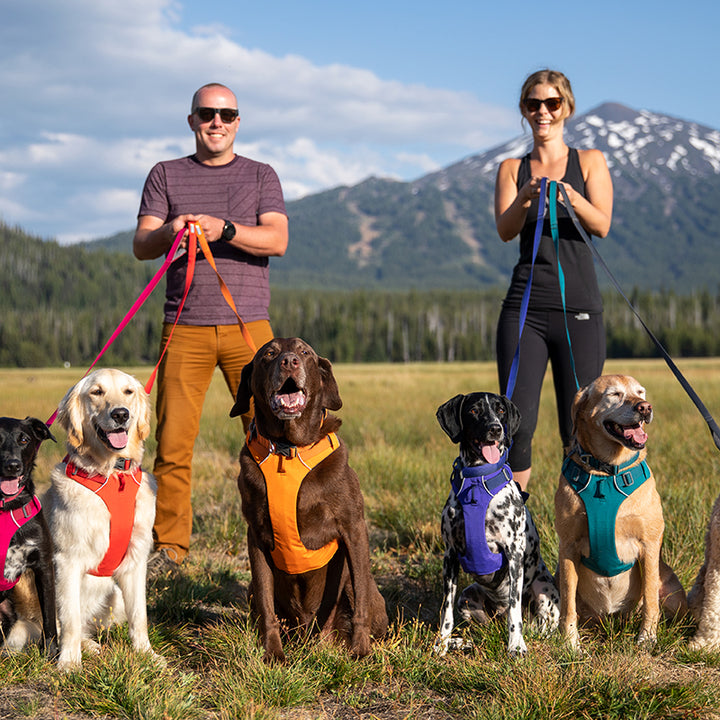 Adjustable Chest And Back Pet Leash Harness For Comfort