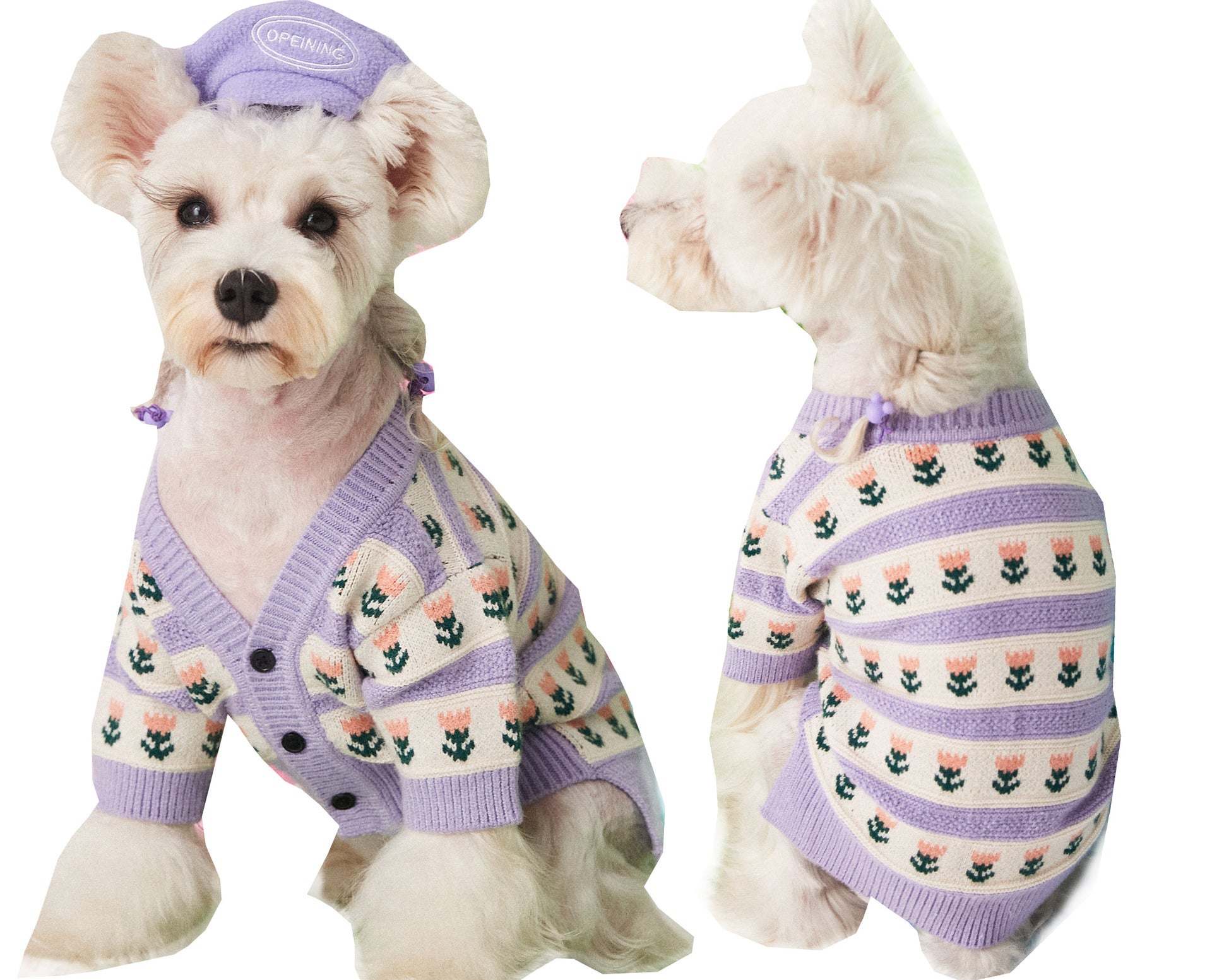 Purple Flower Pet Sweater Cardigan For Warmth And Style