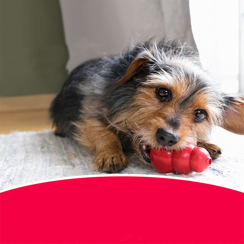 Bite Resistant Rubber Pet Grinding Chew Toy For Dental Care And Play