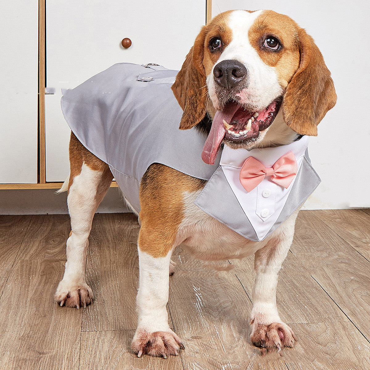 Warm Pet Sweater For Cold Weather Comfort And Style