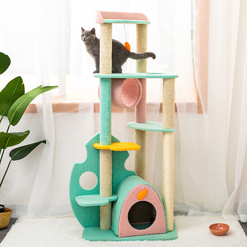 Large Pet Climbing Frame