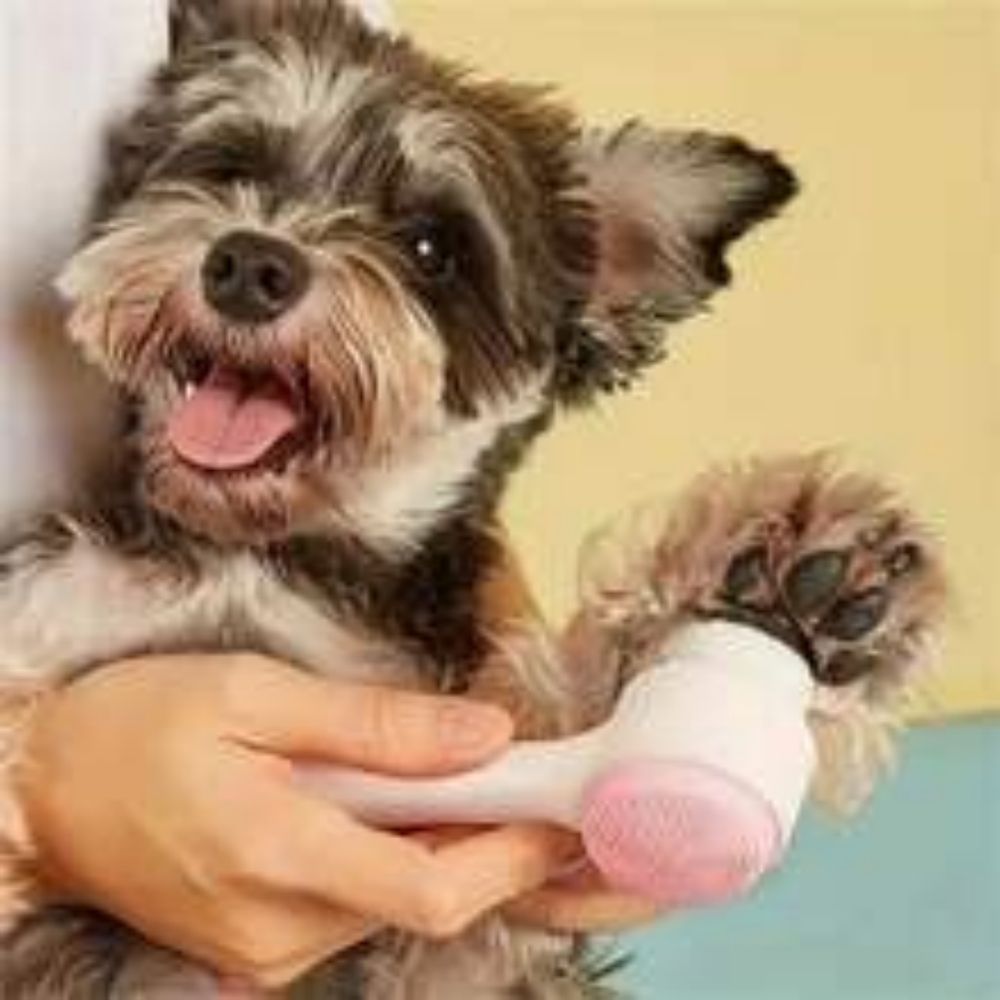 Easy Clean Nylon Pet Paw Brush For Gentle Grooming