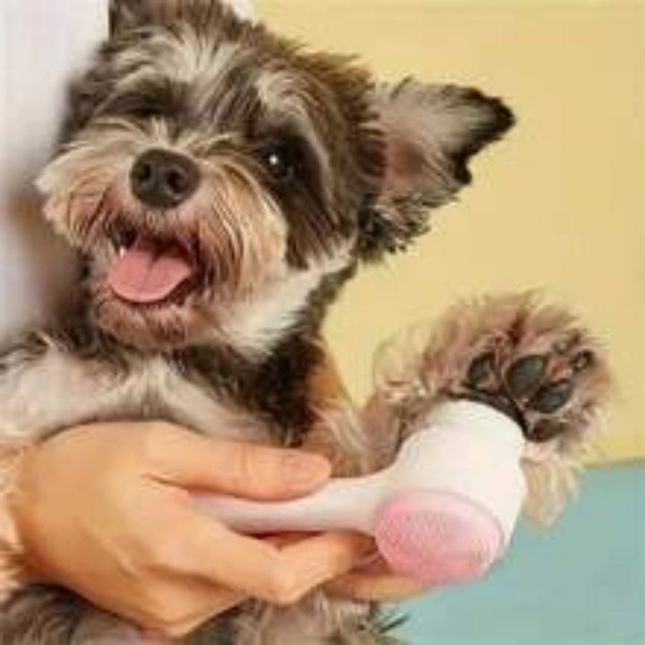 Easy Clean Nylon Pet Paw Brush For Gentle Grooming